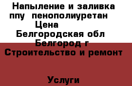  Напыление и заливка ппу (пенополиуретан) › Цена ­ 1 000 - Белгородская обл., Белгород г. Строительство и ремонт » Услуги   . Белгородская обл.,Белгород г.